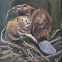 Beaver Pair