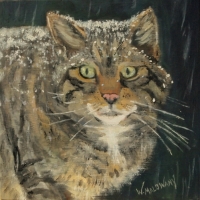 scottish-wildcat-painting-malowany