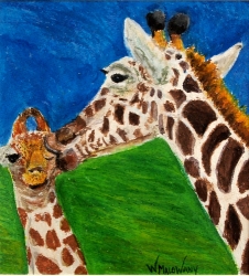 Giraffe-kiss