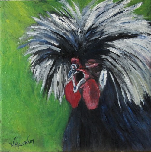 polish-crested-rooster-painting-malowany